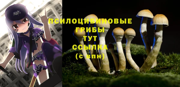 бутират Аркадак