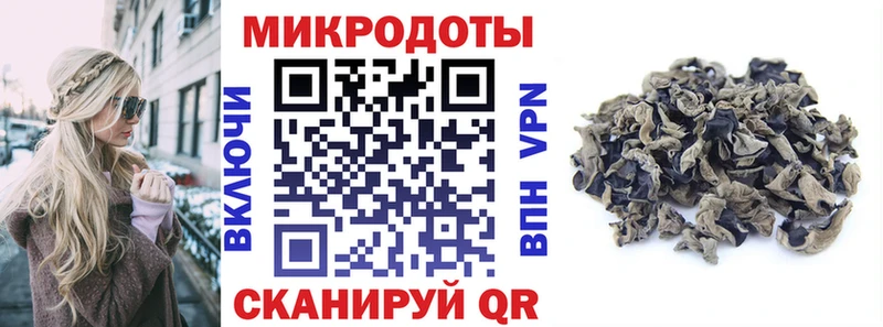 Купить закладки  Электрогорск  Псилоцибиновые грибы Psilocybe 